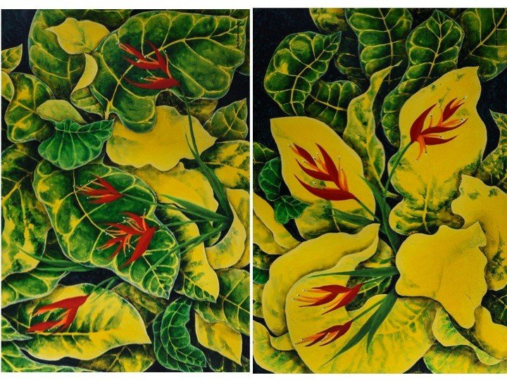 Crotos y Heliconias