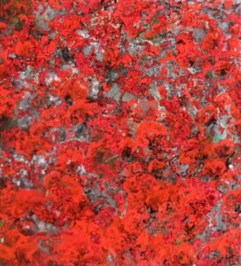 Deep Red