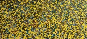 Amarillo Mural