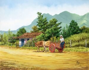 Paseando en Carreta