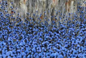 Abril Azul