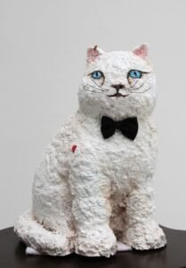 Don Cat