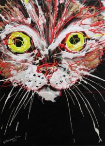 Gato Cara Chorreada