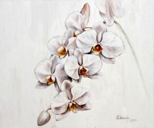 Orquideas Blancas