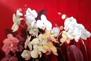 Orquídeas en Flor