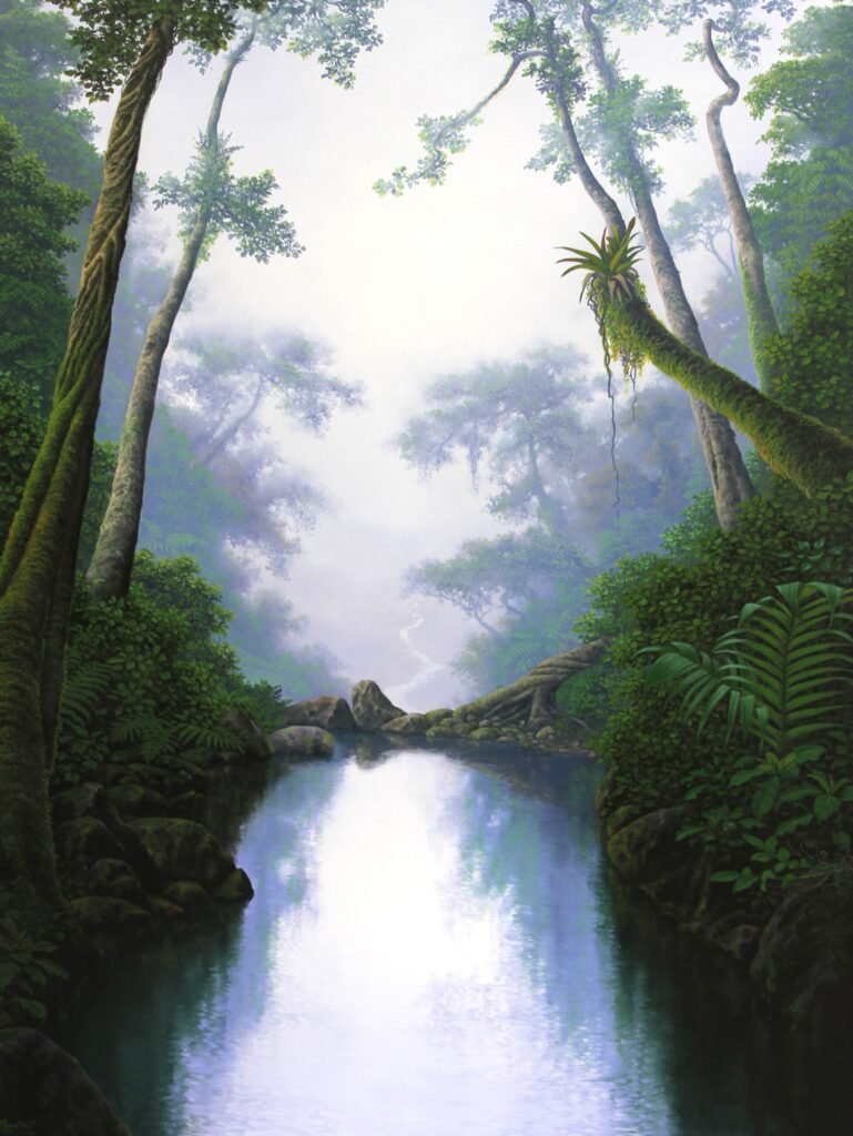 Bosque Nuboso