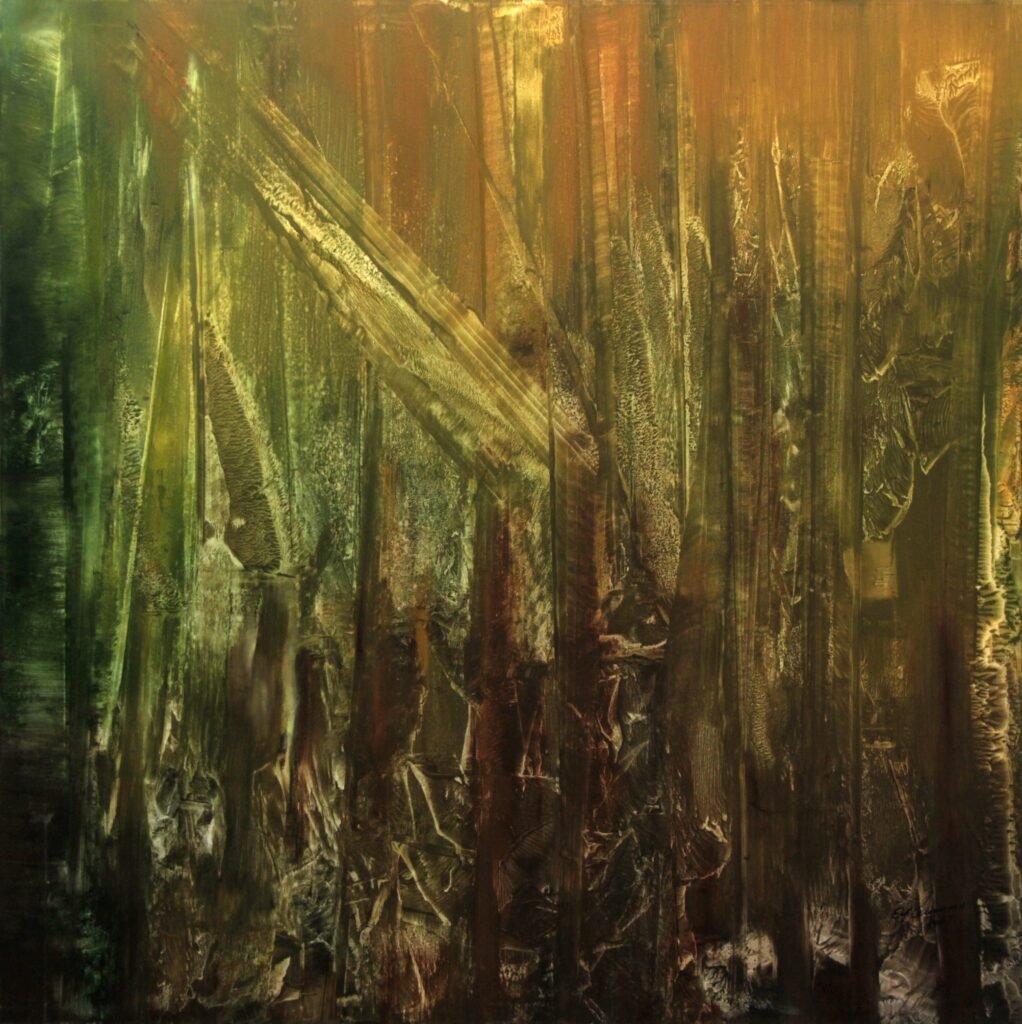Bosque No.10 de Costa Rica