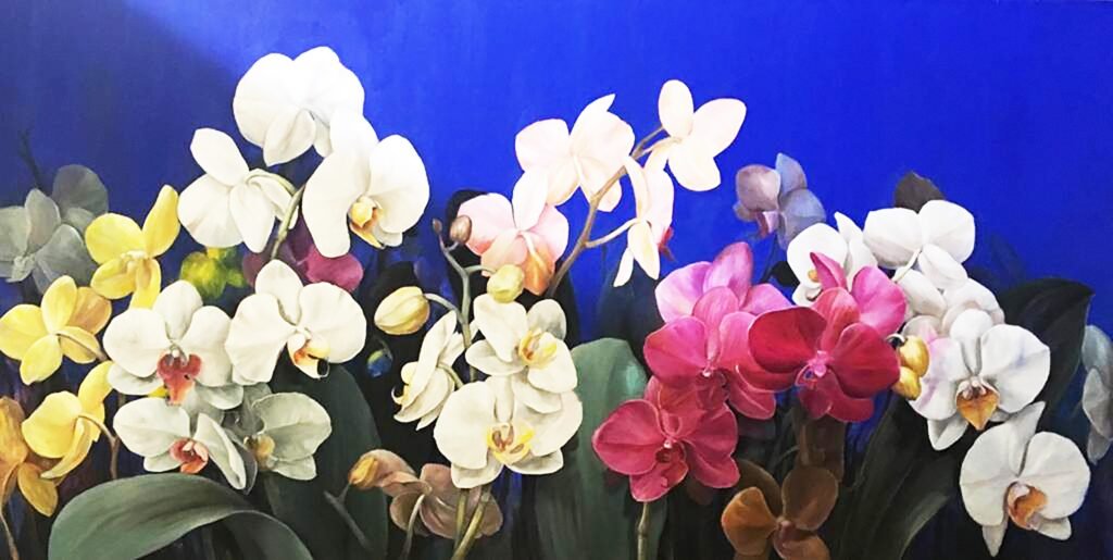 Melodía de Orquídeas