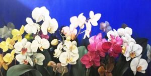 Melodía de Orquídeas