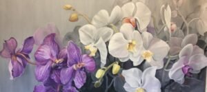 Violetas y Grises