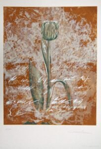 Love Tulip
