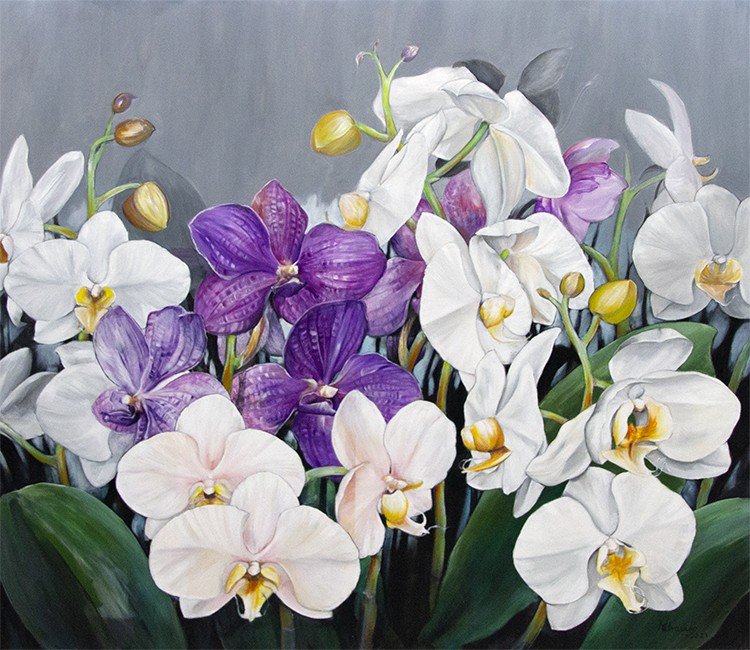 Orquideas en Magentas