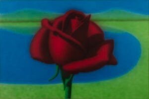 Rosa