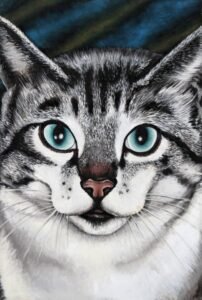 Gata