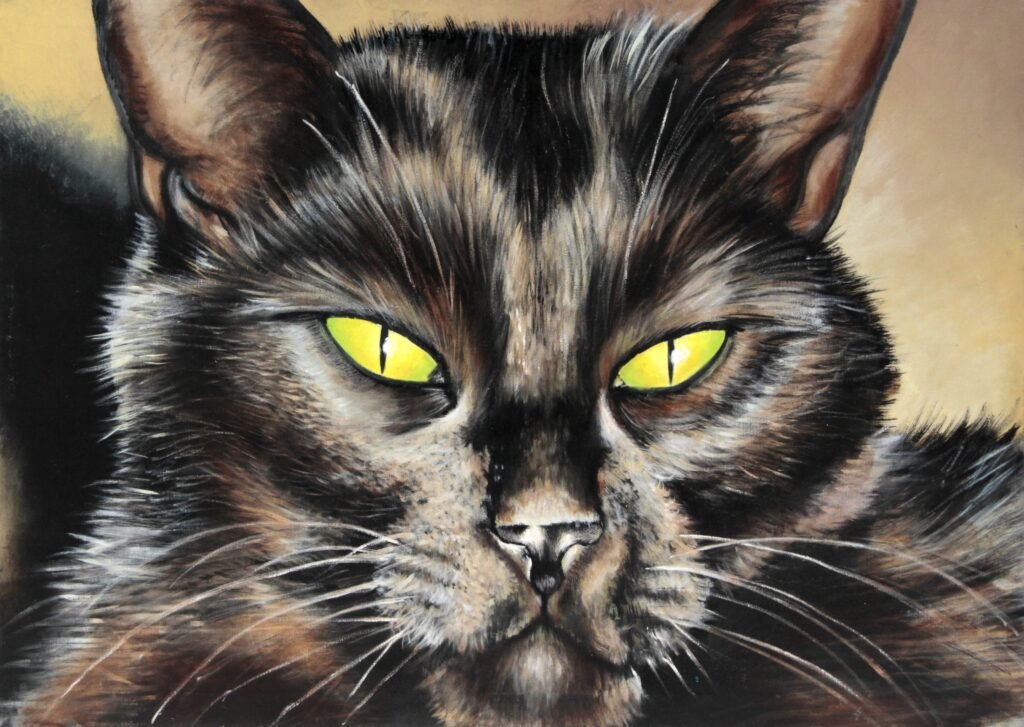 Gato Negro