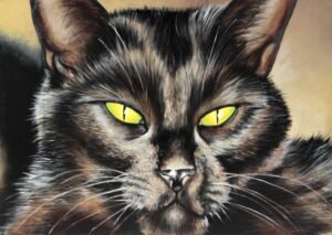 Gato Negro