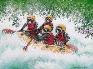 Mapaches Haciendo Rafting