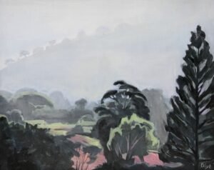 Paisaje Nuboso