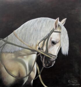 Tope Caballo Blanco