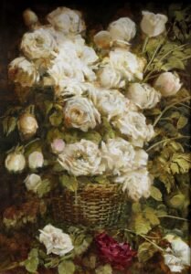 Rosas Blancas