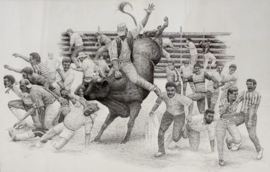 Toros a la Tica