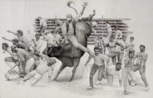 Toros a la Tica