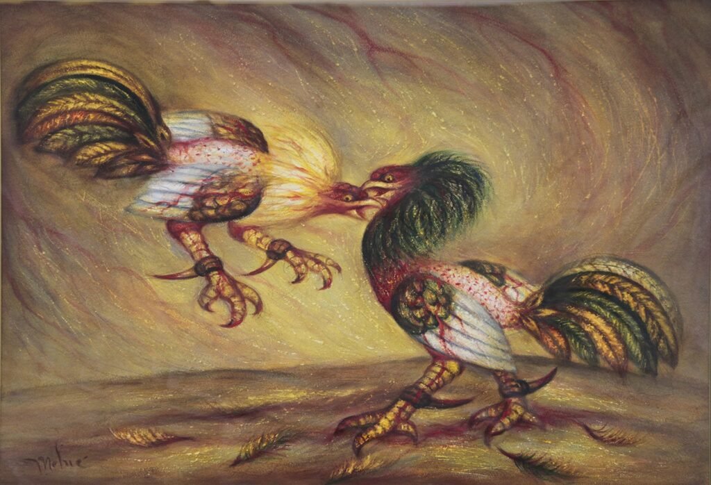 Gallos