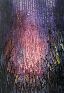 Bouganvilia Bosque Iluminado
