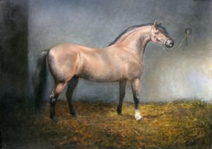 Caballo Castaño