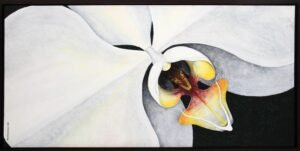 Orquídea Blanca