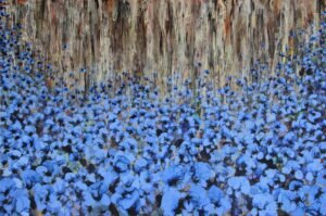 Primavera Azul