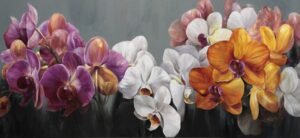 Orquídeas con fondo Gris