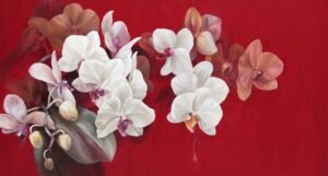 Orquídea y Rojo