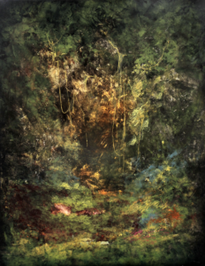 Amanecer en el Bosque